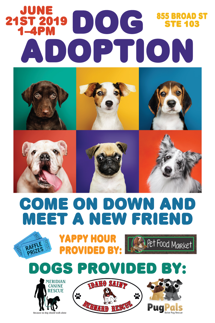 National Pet Adoption Day Anna Blog